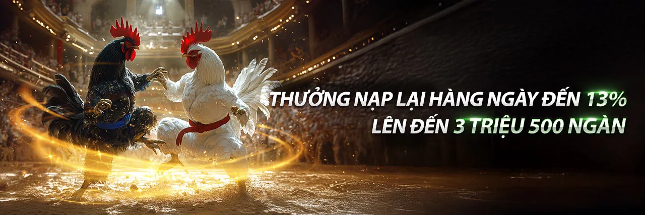 Sòng bạc trực tiếp với dealer chuyên nghiệp tại Cwin555